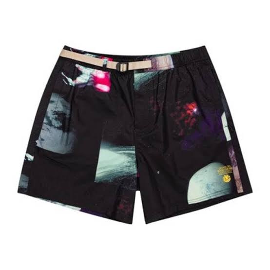costume boardshorts Element solar wander system