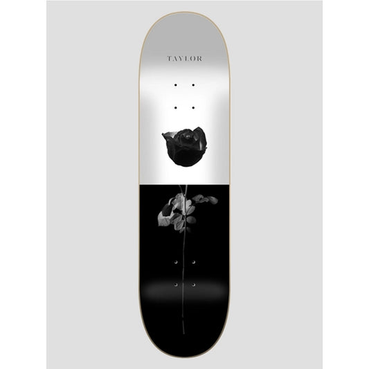 tavola skate Sovrn Taylor deck 8.38 con grip omaggio